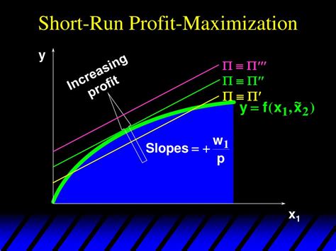 Profit Maximization Strategies for